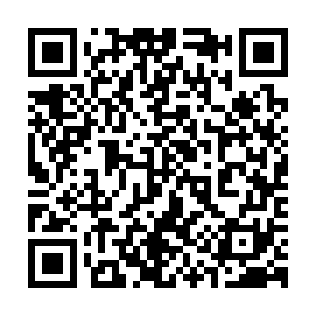 QR code for 313371