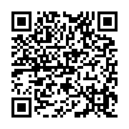 QR code for 313ZC