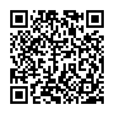 QR code for 335MS2