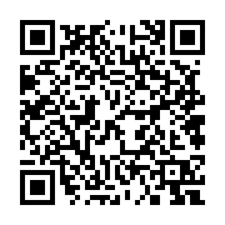 QR code for 36653P2