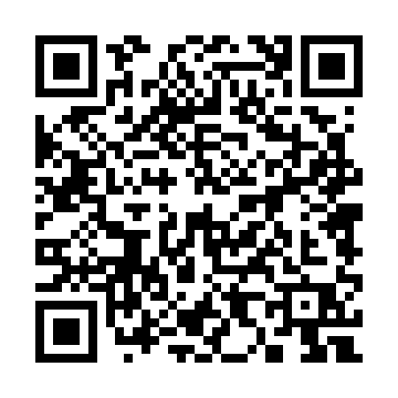 QR code for 38471P2