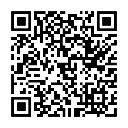 QR code for 38493N2