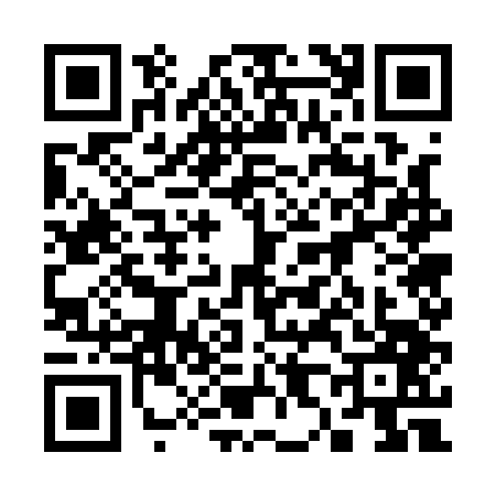 QR code for 3871471