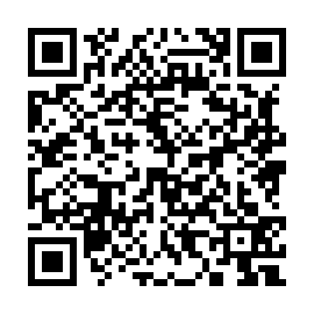 QR code for 3888334