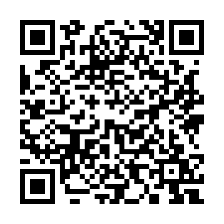 QR code for 38913W1