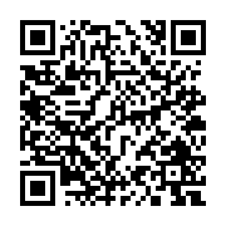 QR code for 393UF