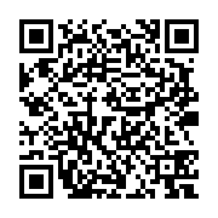 QR code for 3BIT384