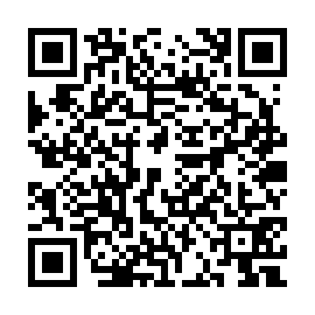 QR code for 3BOR710