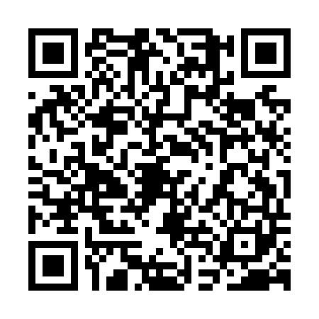 QR code for 3DIN417