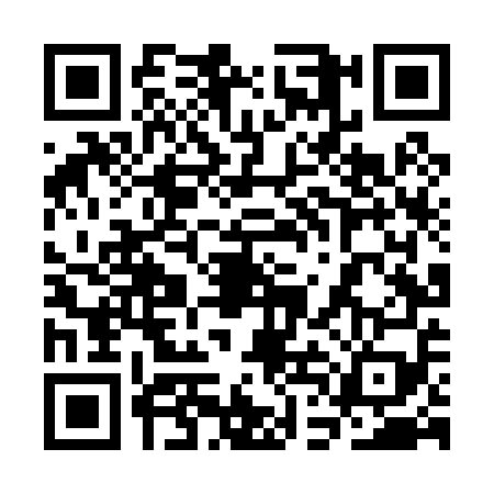 QR code for 3DLP598