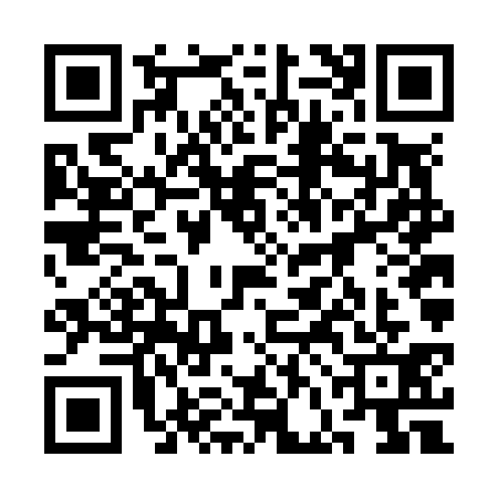 QR code for 3FFN317