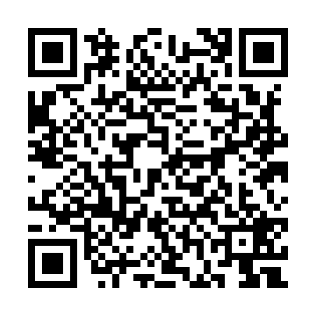 QR code for 3GAI293