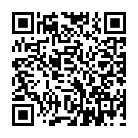 QR code for 3GII413
