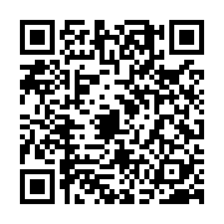 QR code for 3GLO295