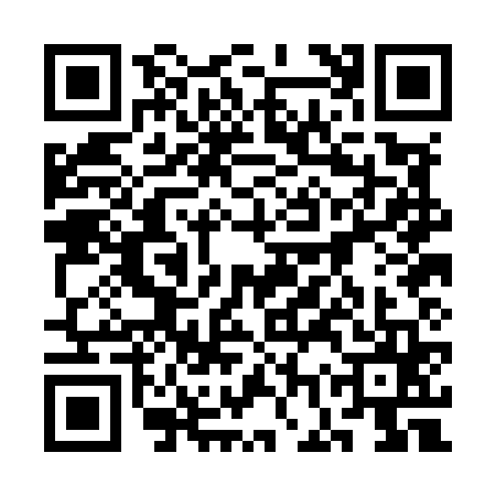 QR code for 3GPM653