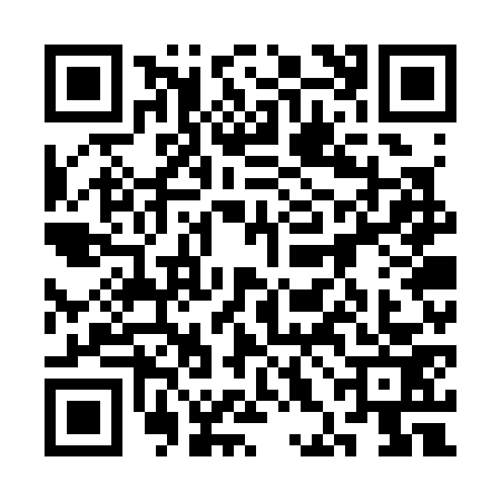 QR code for 3HGS738