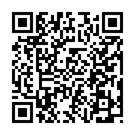 QR code for 3ICN394