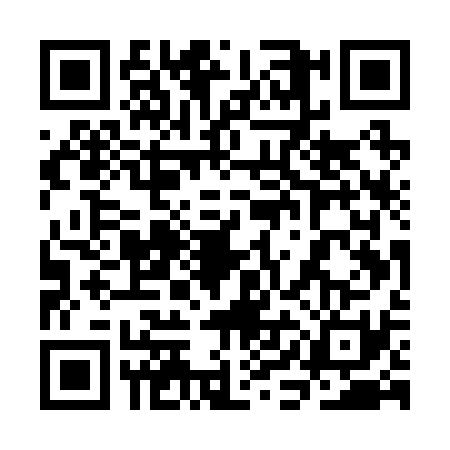 QR code for 3IER313