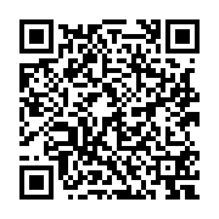 QR code for 3IIA504