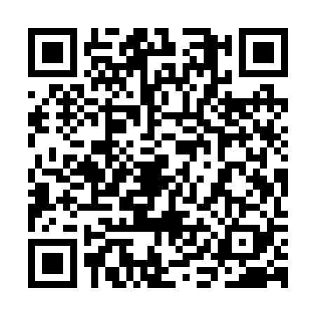 QR code for 3IIR299