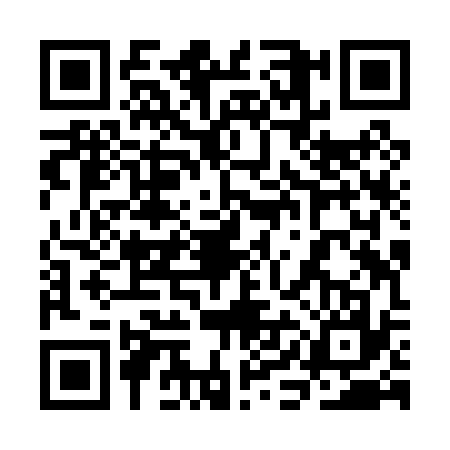 QR code for 3IJP379