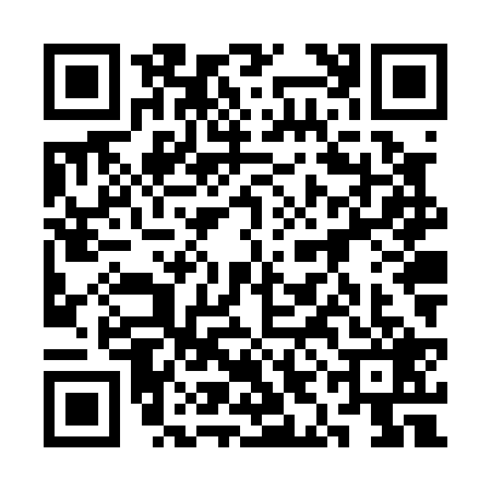QR code for 3INP299