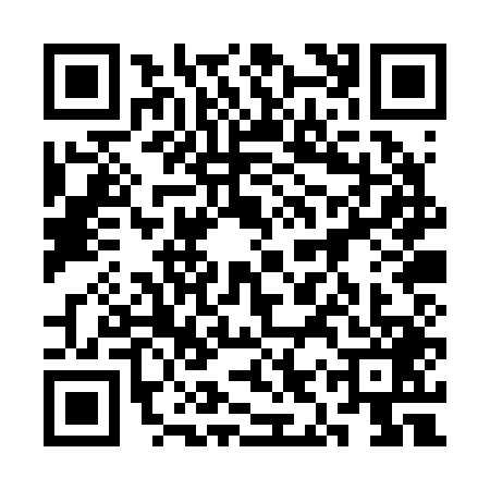 QR code for 3IPR499
