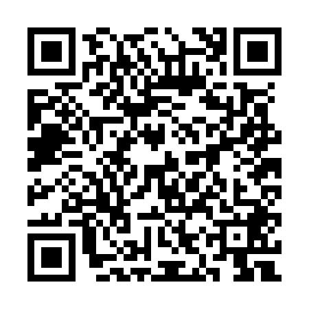 QR code for 3IRO487