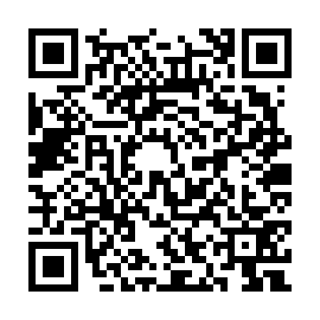 QR code for 3IRV733