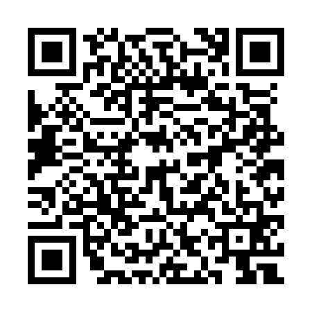 QR code for 3IWO619