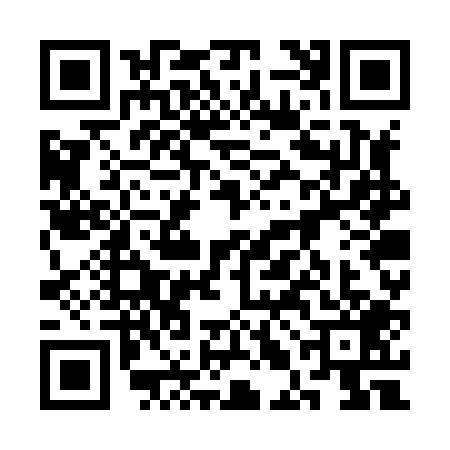 QR code for 3LGX095