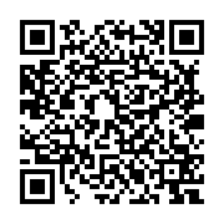 QR code for 3MAX636