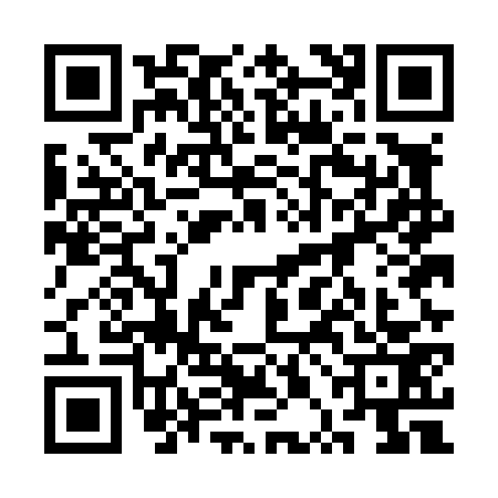QR code for 3PEL736