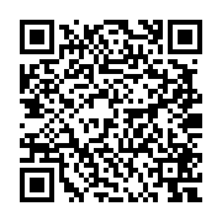 QR code for 3VZT498
