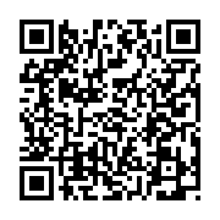 QR code for 3XAV394