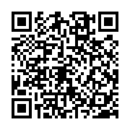 QR code for 3XPU393