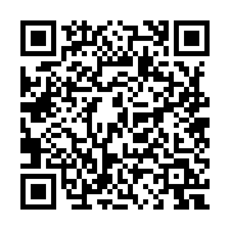 QR code for 42295L2