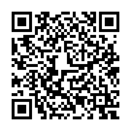 QR code for 45333Z1