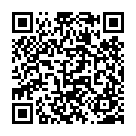 QR code for 456DFT