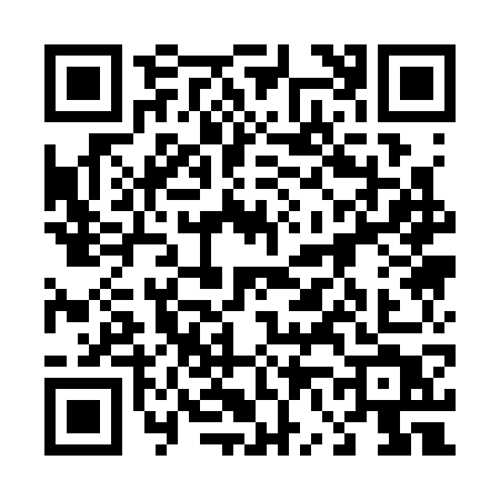 QR code for 46137T1