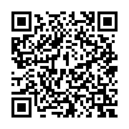 QR code for 46177N3