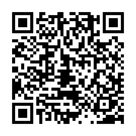 QR code for 46215P1