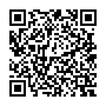 QR code for 46306X1