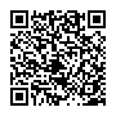 QR code for 46619A3
