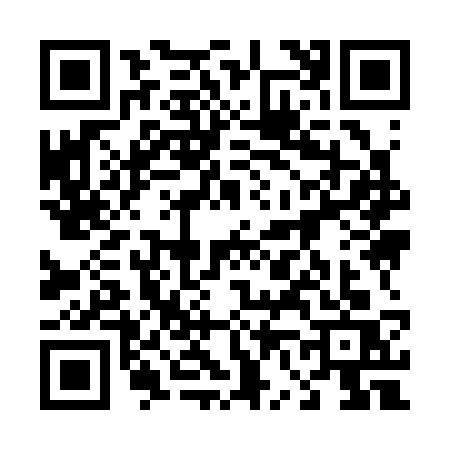QR code for 46933S2