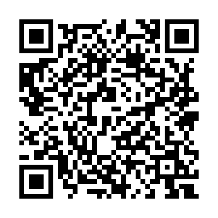 QR code for 46995N2