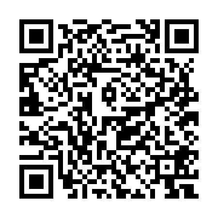QR code for 4APJ081