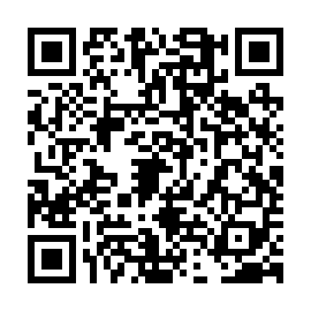 QR code for 4DBR594