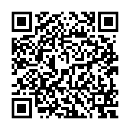 QR code for 4DIG953