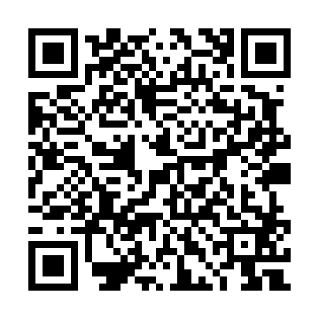 QR code for 4DIT824
